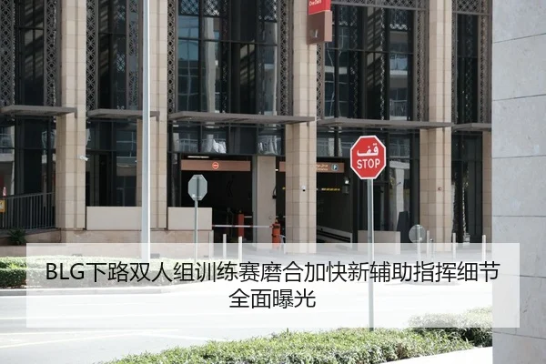 BLG下路双人组训练赛磨合加快新辅助指挥细节全面曝光
